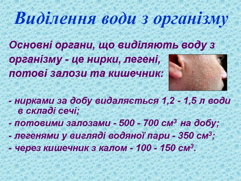 Виділення води з організму Основні органи, що виділяють воду з  організму - це